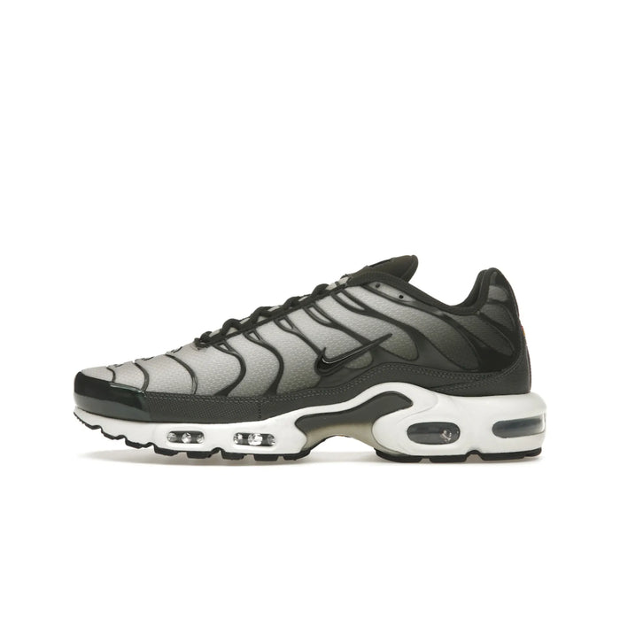 Nike Air Max Plus Sequoia Cargo Khaki