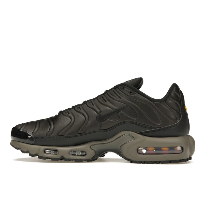 Nike Air Max Plus Premium Paris
