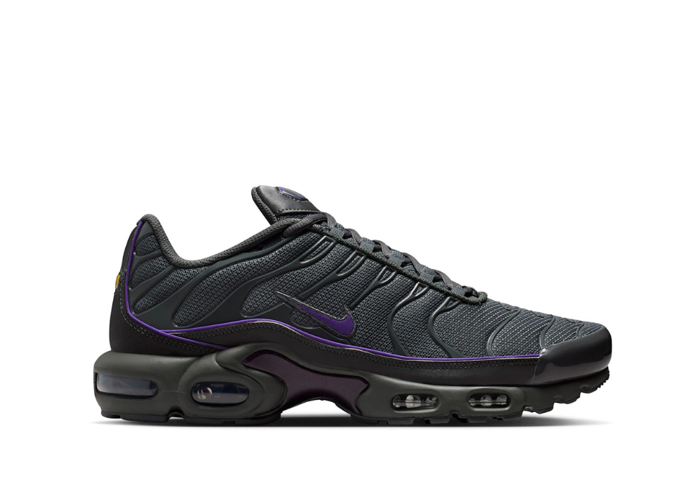 Nike Air Max Plus OG Iron Grey Wild Grape
